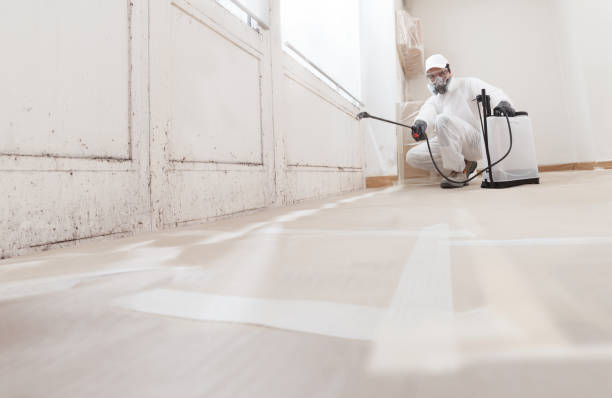 24/7 Emergency Bathroom Mold Removal experts in Wrightsville, PA
